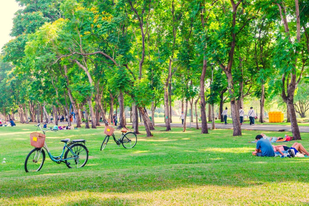 people in a park